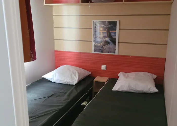 Campsite Cosy Oasis Tropic'nature Pour 6 Pers - - 3 Etoiles